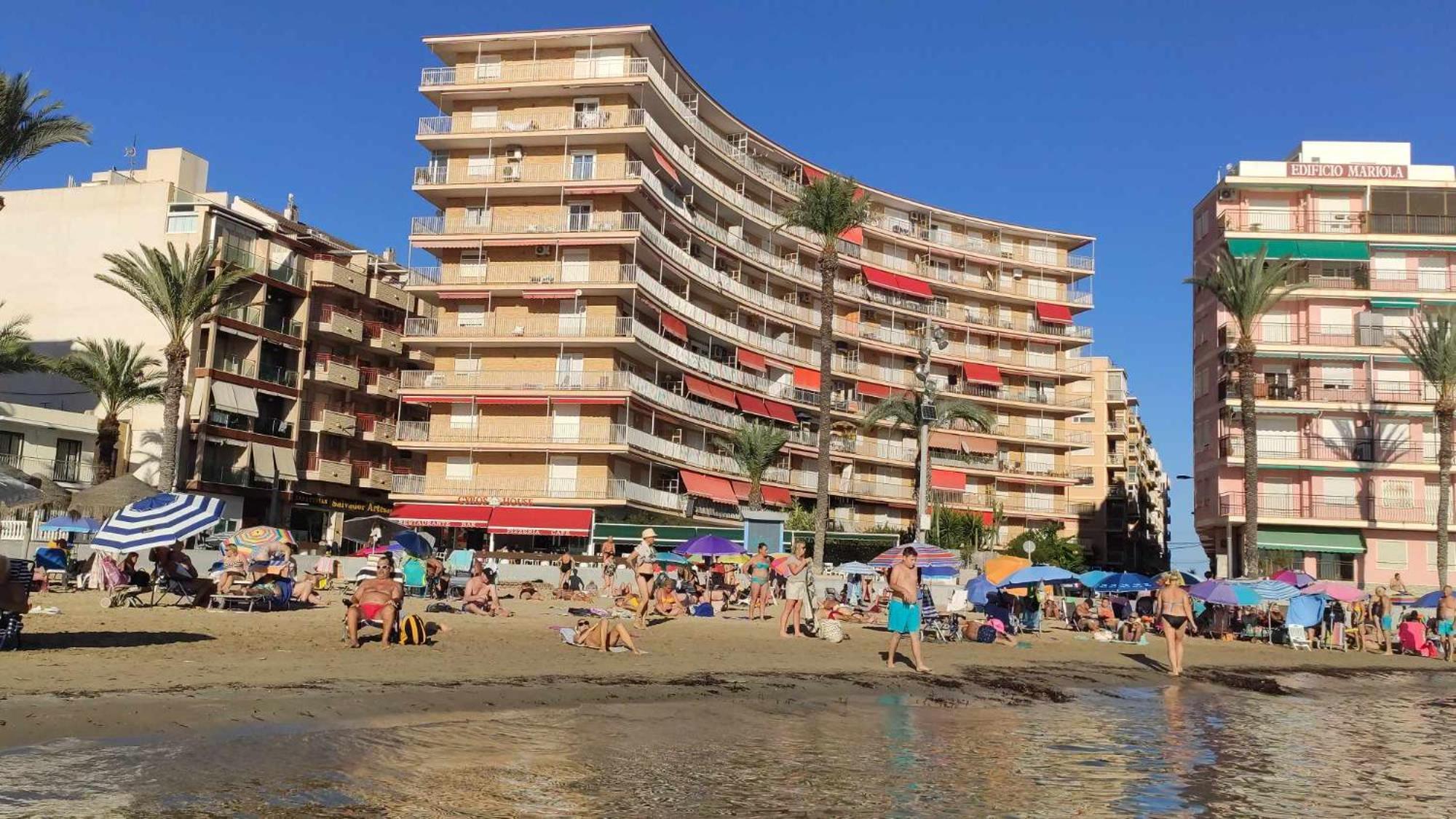 Garden Beach Apartment Торрев'єха Екстер'єр фото