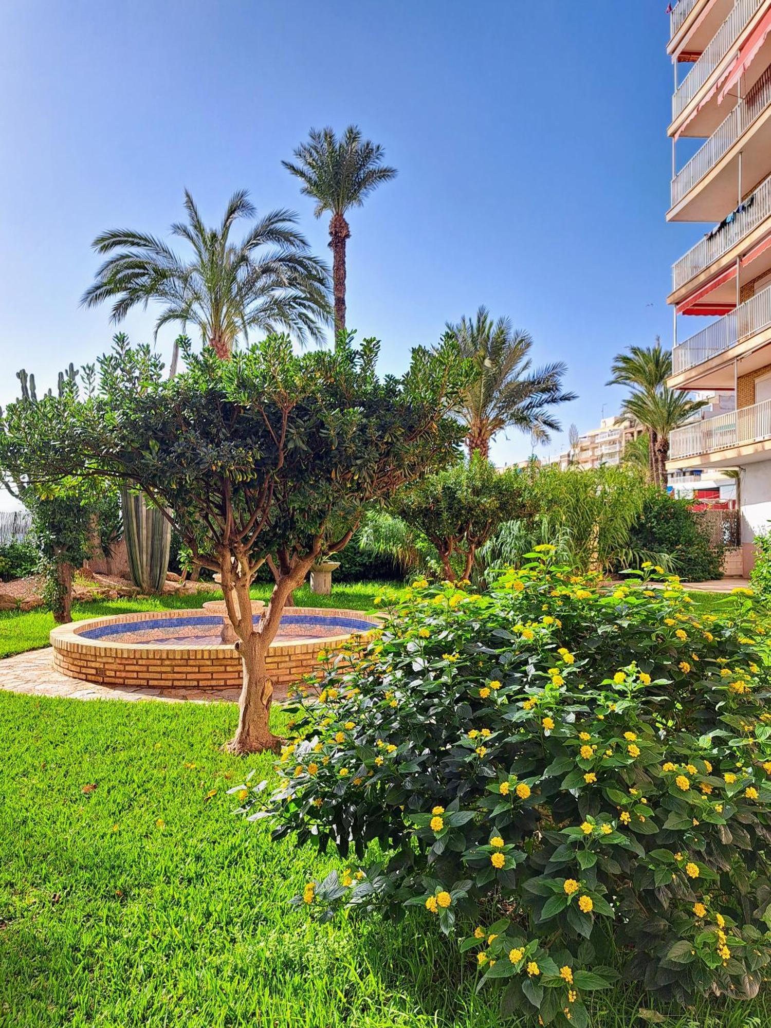 Garden Beach Apartment Торрев'єха Екстер'єр фото