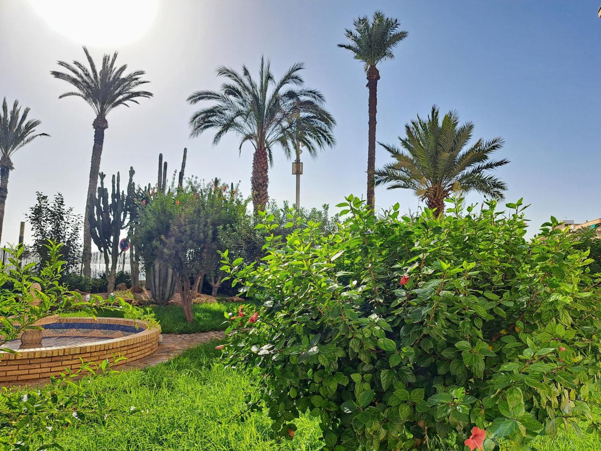 Garden Beach Apartment Торрев'єха Екстер'єр фото